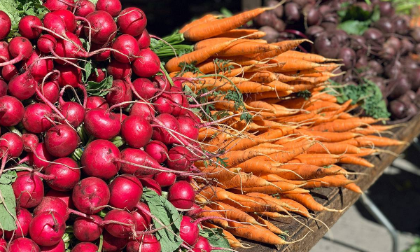 Названы продукты для снижения риска развития сахарного диабета и болезни Альцгеймера